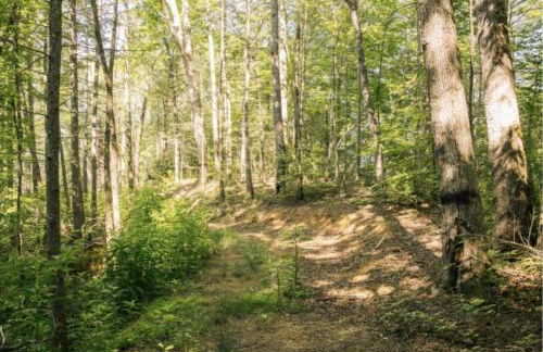 Whispering Waters Dome Getaway - Foto 40