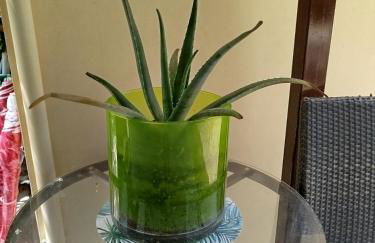 Riverside Αpartments - Foto 39