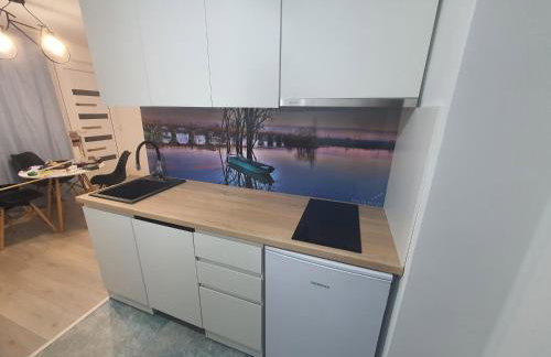Apartman Jež 4 De Lux - self check in, free parking - Foto 4
