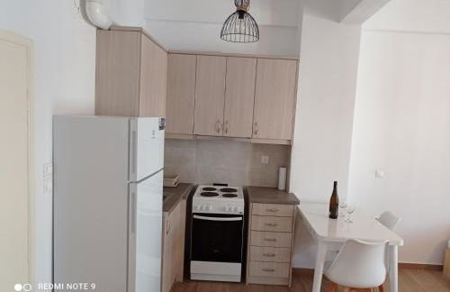 CENTRAL ELEVEN - Foto 11