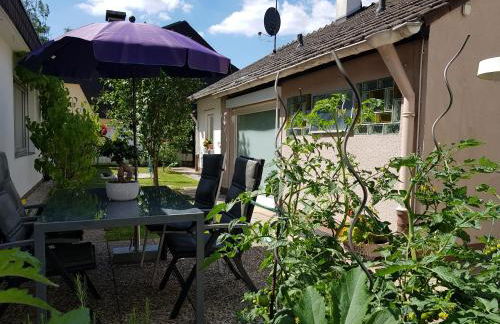 Gartenstudio Anila - Foto 4