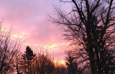 Rhöner Sternenhimmel FeWo 1 und 2 - Foto 23