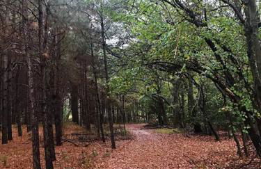 Eden Farm: Private Studio Minutes from Salisbury - Foto 18