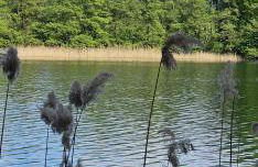 Ferienhaus Kiara - Foto 19