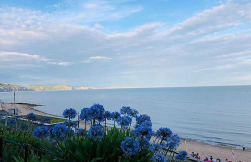 Sea Cliff View Designer Home - Photo 29