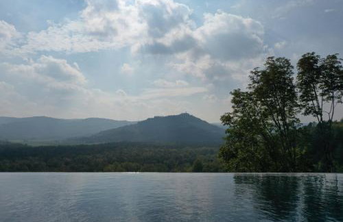 Villa Terra Motovun - Foto 9