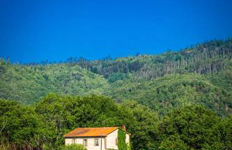 Chiantissima, Tuscany - Foto 44