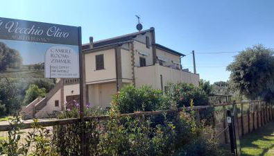 Agriturismo IL VECCHIO OLIVO - Foto 2
