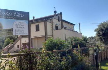 Agriturismo IL VECCHIO OLIVO - Foto 2