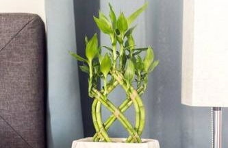 Open and Comfy home near Downtown-Folly Beach - Foto 11