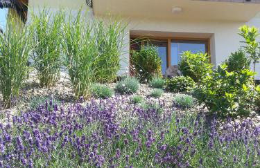 Domki Pod Magurą - Foto 16