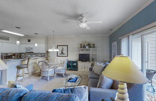 Scotch Broom E-104 - Foto 14