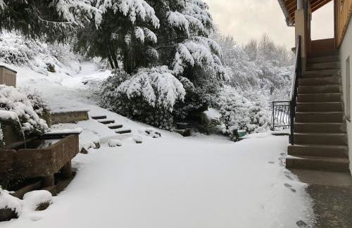 La remise du Murgé - Foto 32