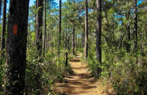 The perfect Little Cottage for your gateway! - Foto 23