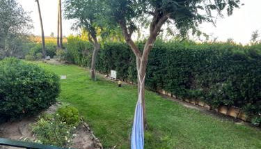 El Paraíso de Isla Canela - Foto 5, Garden