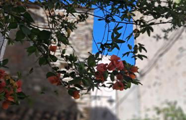 The Mandarine, Orangery Retreat - Photo 37