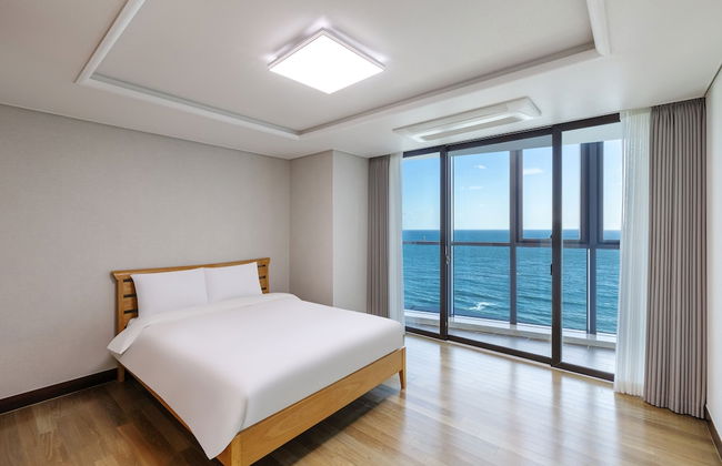 Pale De CZ - Foto 21