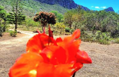 Chalé Gravatinha - Foto 16