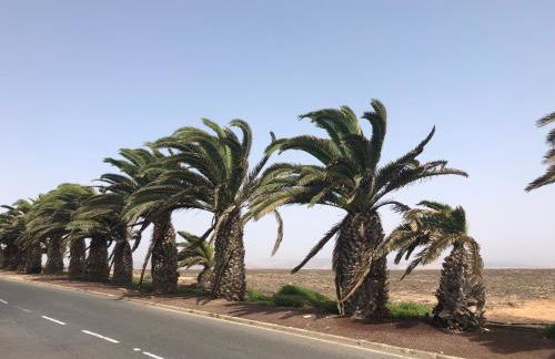 Casa de La Tortuga - Photo 33