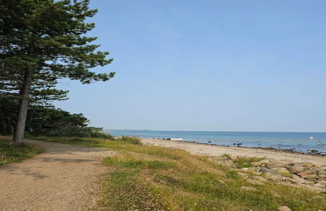 6 Person Holiday Home in Hornbaek - Photo 43