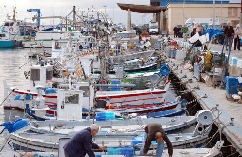 1215 BAIX CAMP casa con jardin - Apivend Immo - Foto 30