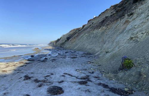 Walk to Torrey Pines Beach! Beachwalk Bungalow - Photo 29