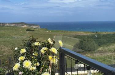 ballota 21 - Foto 42