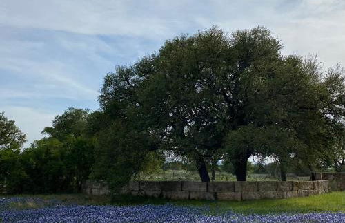 V700 Ranch Stays (Guesthouse)-A Tucked Away Gem - Foto 6