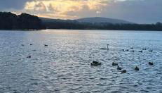 Tarnside Cottages - Foto 3