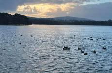 Tarnside Cottages - Foto 3