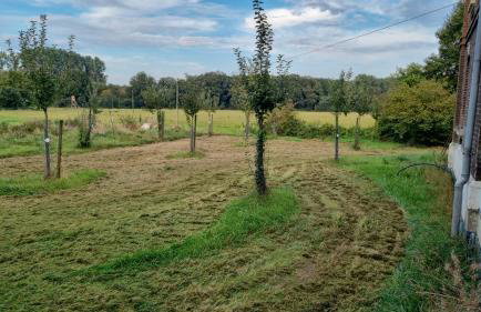 Gutshaus Michelshof - Viel Platz in der Natur - Foto 38