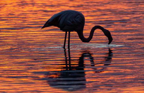 Luxury Poetto Apartments - Foto 56