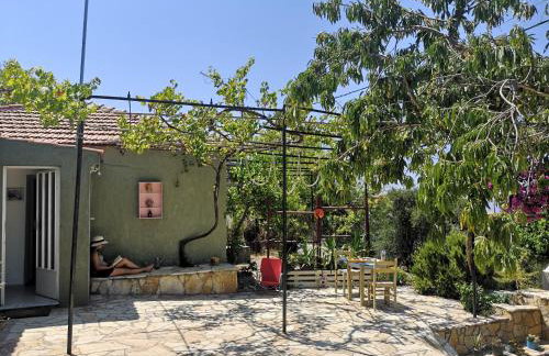 Villa amygdalia - Foto 14