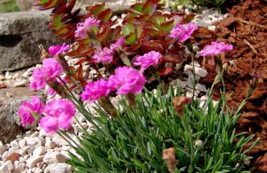 Apartments Serghela - Photo 62