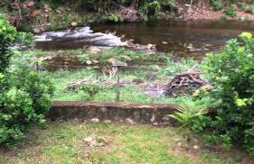Casa Cachoeira Paraty - Foto 20