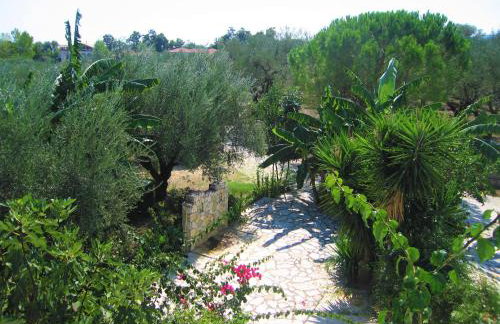 Blue Studios by Irene - Photo 15