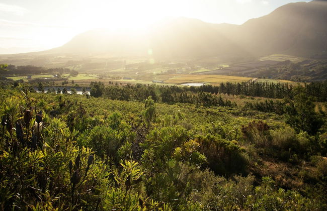 Clouds End Farm - Photo 45