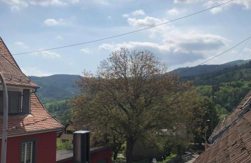 appartement Vintage a l ancienne forge - Foto 51