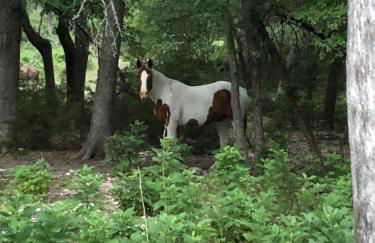 Perfect Country-Side Get-Away - Photo 31