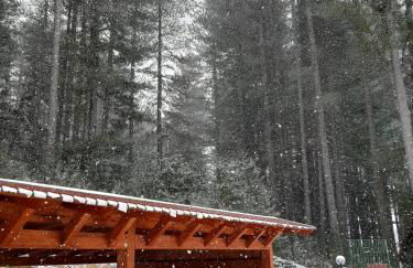 Dimora nel bosco - Foto 52