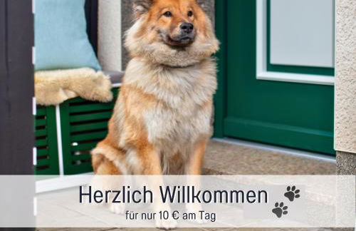 Ferienwohnung im Sauerland Hunde willkommen Kamin und Garten am Waldrand Muehls-Sauerland - Foto 6