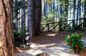 Villaggio Barilari - Foto 30