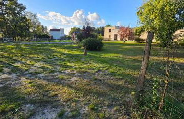 Le haras de gus et lulu - Foto 34