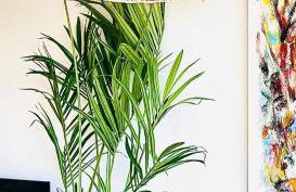 Tierra de Mar 94 by homeprive - Foto 13