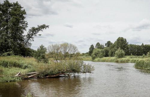 Gajówka Pilica 45A - Foto 14