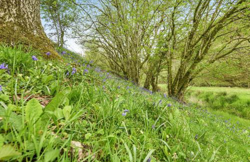 Smiddy Cottage, Historic Village Hub with Spacious Lounge, High Ceilings, and Wood Stove - Foto 17