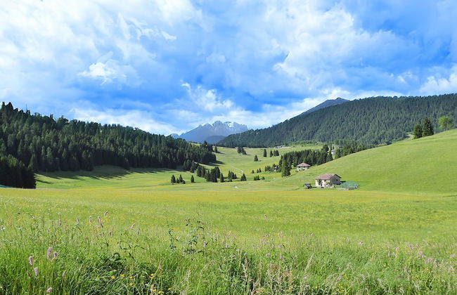Baita Mountain View Pale San Martino - Foto 14