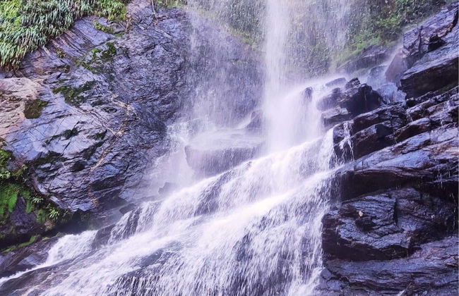 Trilha pelas cachoeiras e serra de Angra dos Reis - Foto 3