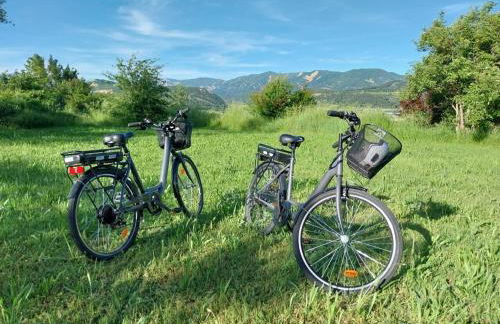La Salamandre de l Olivier - Le Cèdre Bleu - Foto 35