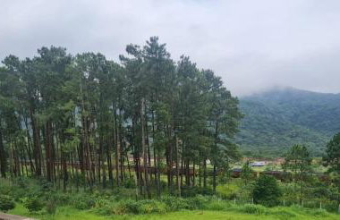 Apto 2 ambientes 1 quarto e a sala Cond Reserva do Sahy - Foto 35